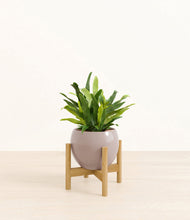 Load image into Gallery viewer, Winter Clouds stand:bamboo