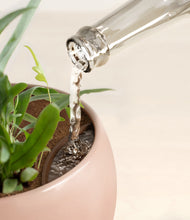 Load image into Gallery viewer, Calm Rose stand:all