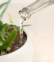 Load image into Gallery viewer, Shiny EggWhite stand:all