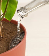 Load image into Gallery viewer, Earth Red stand:all