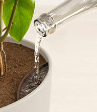 Load image into Gallery viewer, Natural Bamboo stand:all