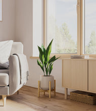 Load image into Gallery viewer, Eternal Gray stand:bamboo