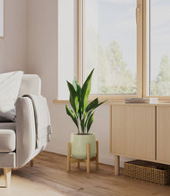 Load image into Gallery viewer, Turquoise stand:bamboo