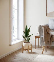 Load image into Gallery viewer, Shiny EggWhite stand:bamboo