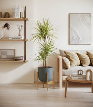 Load image into Gallery viewer, Iron Gray stand:bamboo