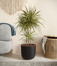 Load image into Gallery viewer, Stone Black