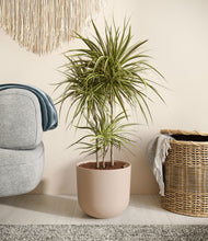 Load image into Gallery viewer, Sandy Pink