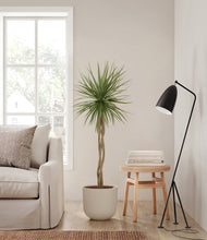 Load image into Gallery viewer, Natural Bamboo