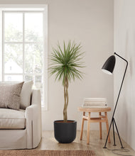 Load image into Gallery viewer, Stone Black