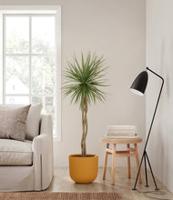 Load image into Gallery viewer, Sunset Orange