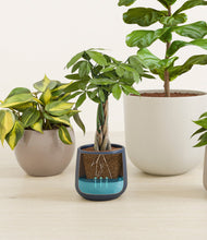 Load image into Gallery viewer, Mountain Top