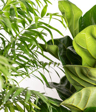 Load image into Gallery viewer, ALL