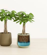 Load image into Gallery viewer, Earthy