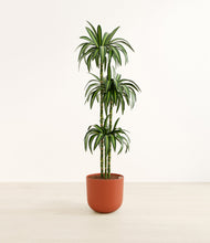 Load image into Gallery viewer, Earth Red*****Profile