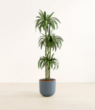 Load image into Gallery viewer, Iron Gray*****Profile