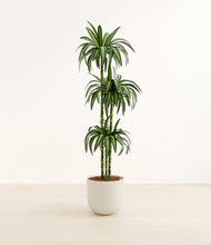 Load image into Gallery viewer, Natural Bamboo*****Profile