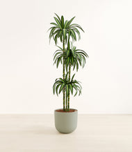 Load image into Gallery viewer, Sage Green*****Profile