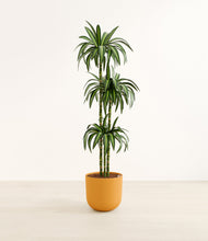 Load image into Gallery viewer, Sunset Orange*****Profile