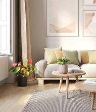 Load image into Gallery viewer, Hazy Skies