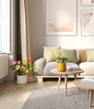 Load image into Gallery viewer, Tiger Lily