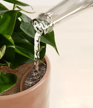 Load image into Gallery viewer, Earthen Harmony