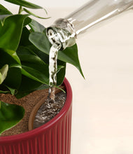 Load image into Gallery viewer, Crimson Cascade