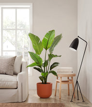 Load image into Gallery viewer, Earth Red