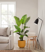 Load image into Gallery viewer, Sunset Orange