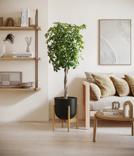 Load image into Gallery viewer, Stone Black stand:bamboo