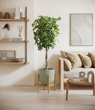 Load image into Gallery viewer, Sage Green stand:bamboo
