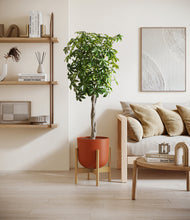 Load image into Gallery viewer, Earth Red stand:bamboo