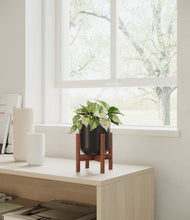 Load image into Gallery viewer, Stone Black stand:walnut