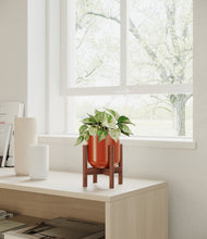 Load image into Gallery viewer, Glossy Red stand:walnut