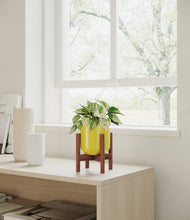 Load image into Gallery viewer, Key Lime Yellow stand:walnut