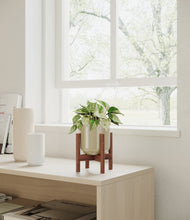 Load image into Gallery viewer, Sage Green stand:walnut
