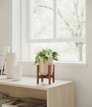 Load image into Gallery viewer, Sandy Pink stand:walnut