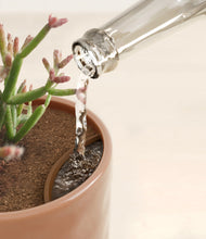 Load image into Gallery viewer, Blush Harmony