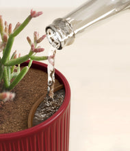 Load image into Gallery viewer, Sundown Glow