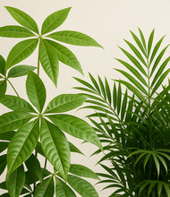 Load image into Gallery viewer, ALL