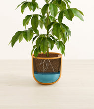 Load image into Gallery viewer, Sunset Orange