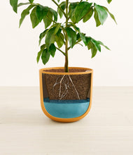 Load image into Gallery viewer, Sunset Orange