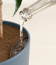 Load image into Gallery viewer, Iron Gray stand:all