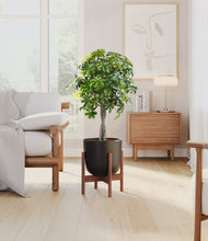 Load image into Gallery viewer, Stone Black stand:walnut