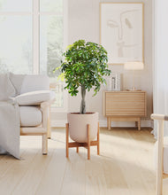 Load image into Gallery viewer, Sandy Pink stand:bamboo