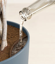 Load image into Gallery viewer, Iron Gray stand:all