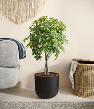 Load image into Gallery viewer, Stone Black