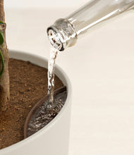 Load image into Gallery viewer, Sandy