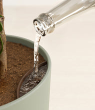 Load image into Gallery viewer, Earthy stand:all