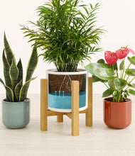 Load image into Gallery viewer, Liberty Hues