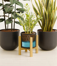 Load image into Gallery viewer, Charcoal stand:light